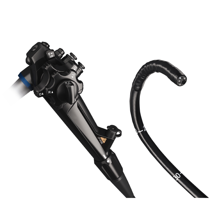 CF-H185 i/l